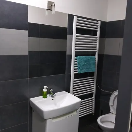 Spacious 5 Person Great For Families Or Friends Apartment Brünn